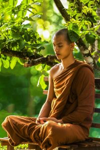 Junger Buddhist der unter dem Baum meditiert