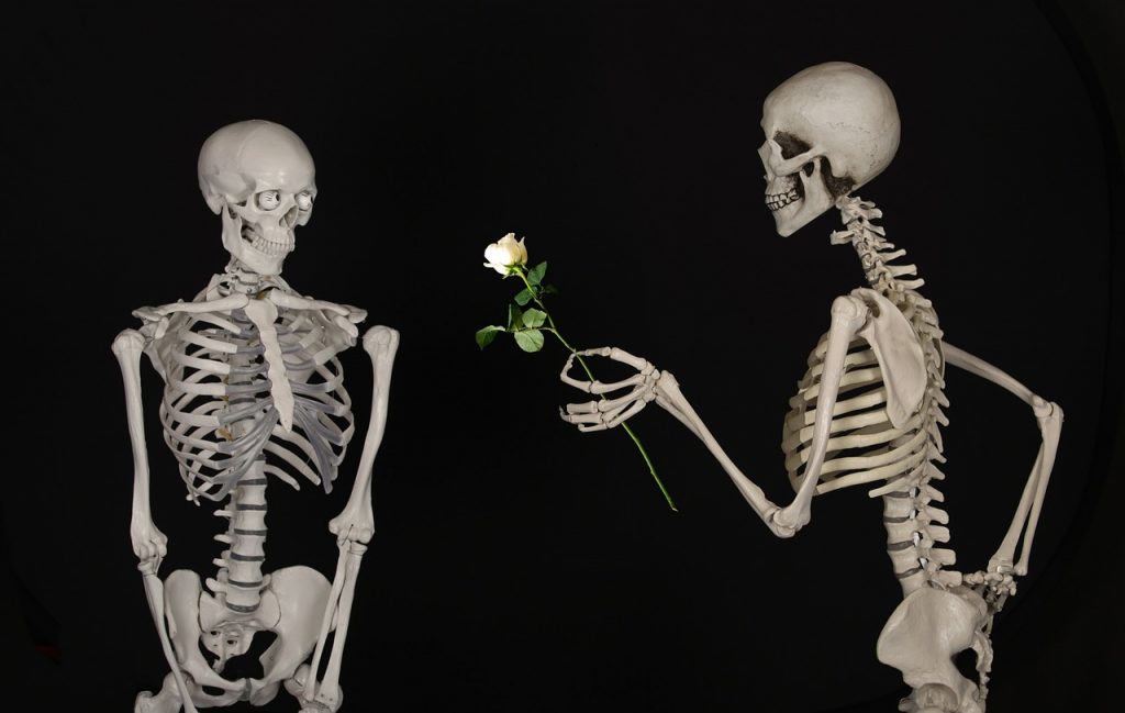 Skelett verschenkt eine weiße Rose an einen Hassposter