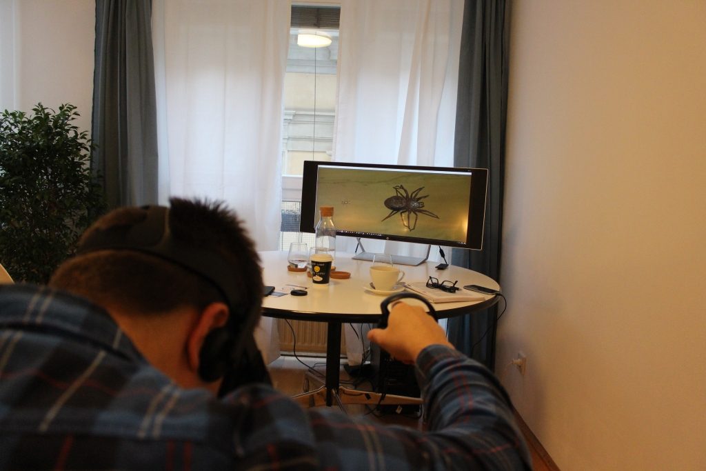 Virtual Reality Spinnenangst